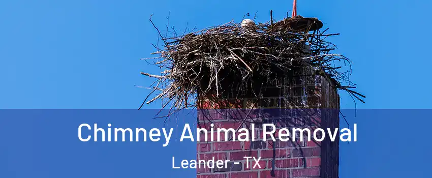  Chimney Animal Removal Leander - TX
