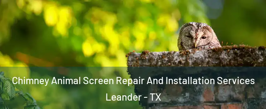  Chimney Animal Screen Repair And Installation Services Leander - TX