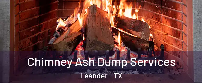 Chimney Ash Dump Services Leander - TX