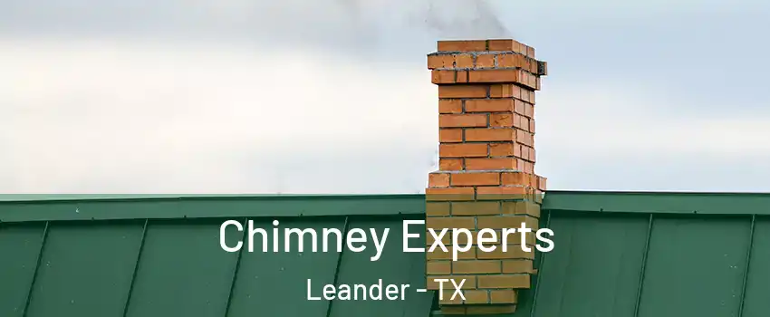  Chimney Experts Leander - TX