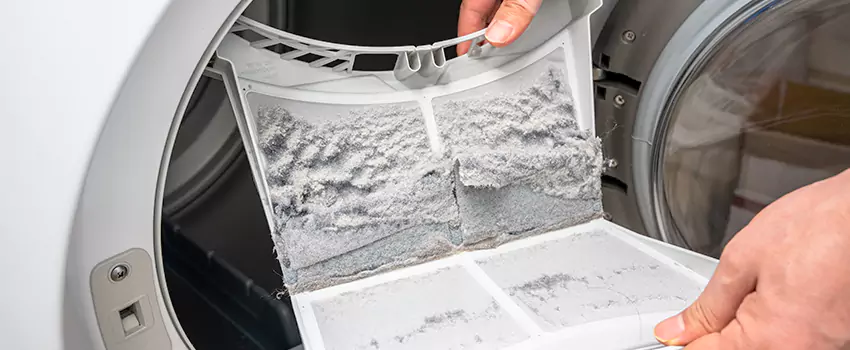 Best Dryer Lint Removal Company in Leander, Texas