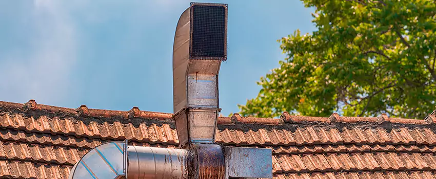 Chimney Blockage Removal in Leander, Texas