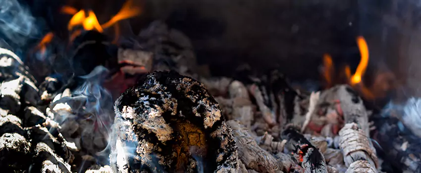 Creosote Removal Experts in Leander, TX