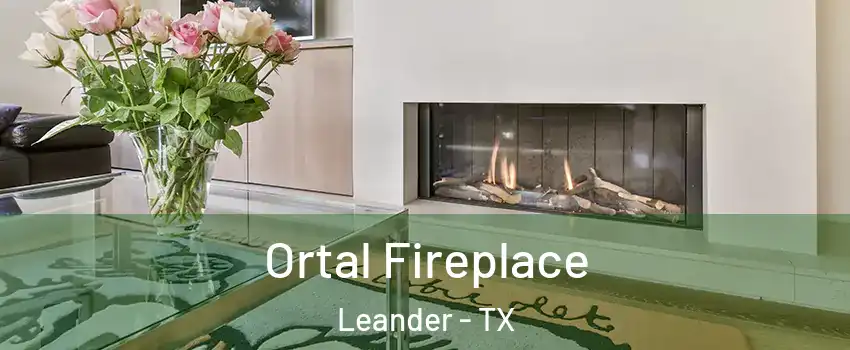 Ortal Fireplace Leander - TX